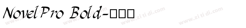 NovelPro Bold字体转换
